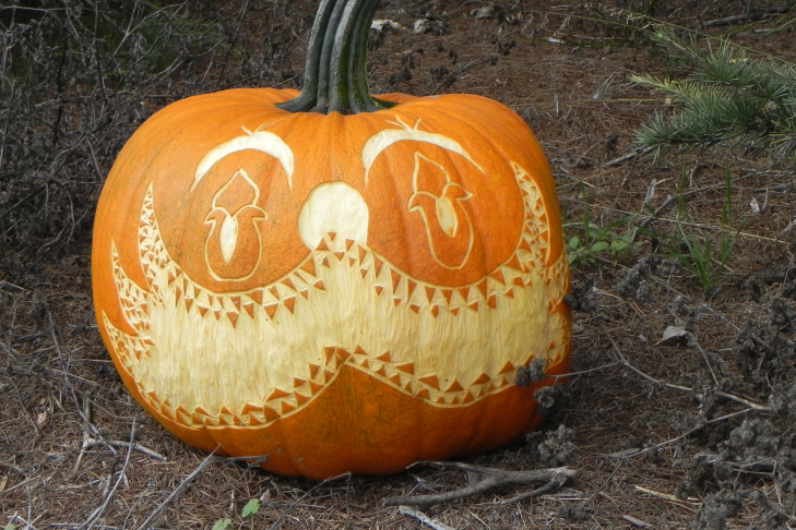 Pumpkin Carving Idea Complex